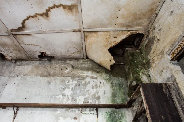 Water Damage Service in Chicago