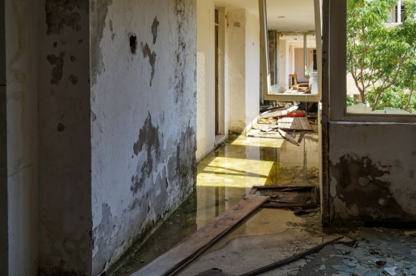 Cost of Water Removal Service in Chicago