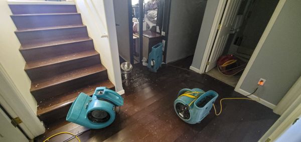 Water Damage Remediation in Chicago