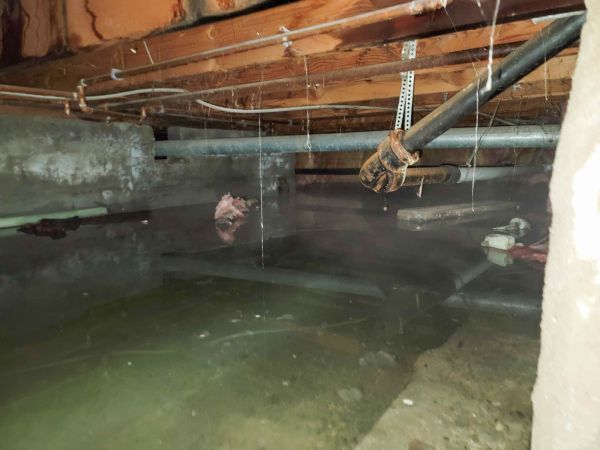 Water Mitigation Service in Chicago