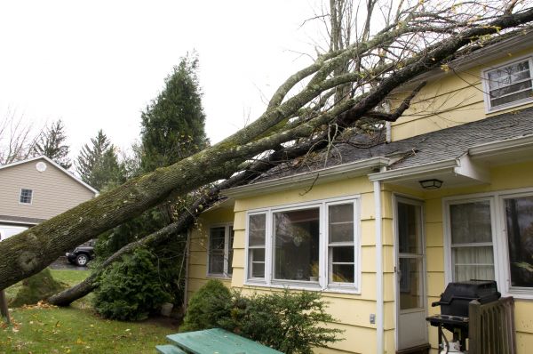 Cost of Hurricane Damage Repair in Chicago