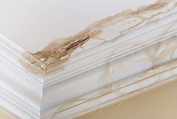 Water Damage Recovery in Chicago